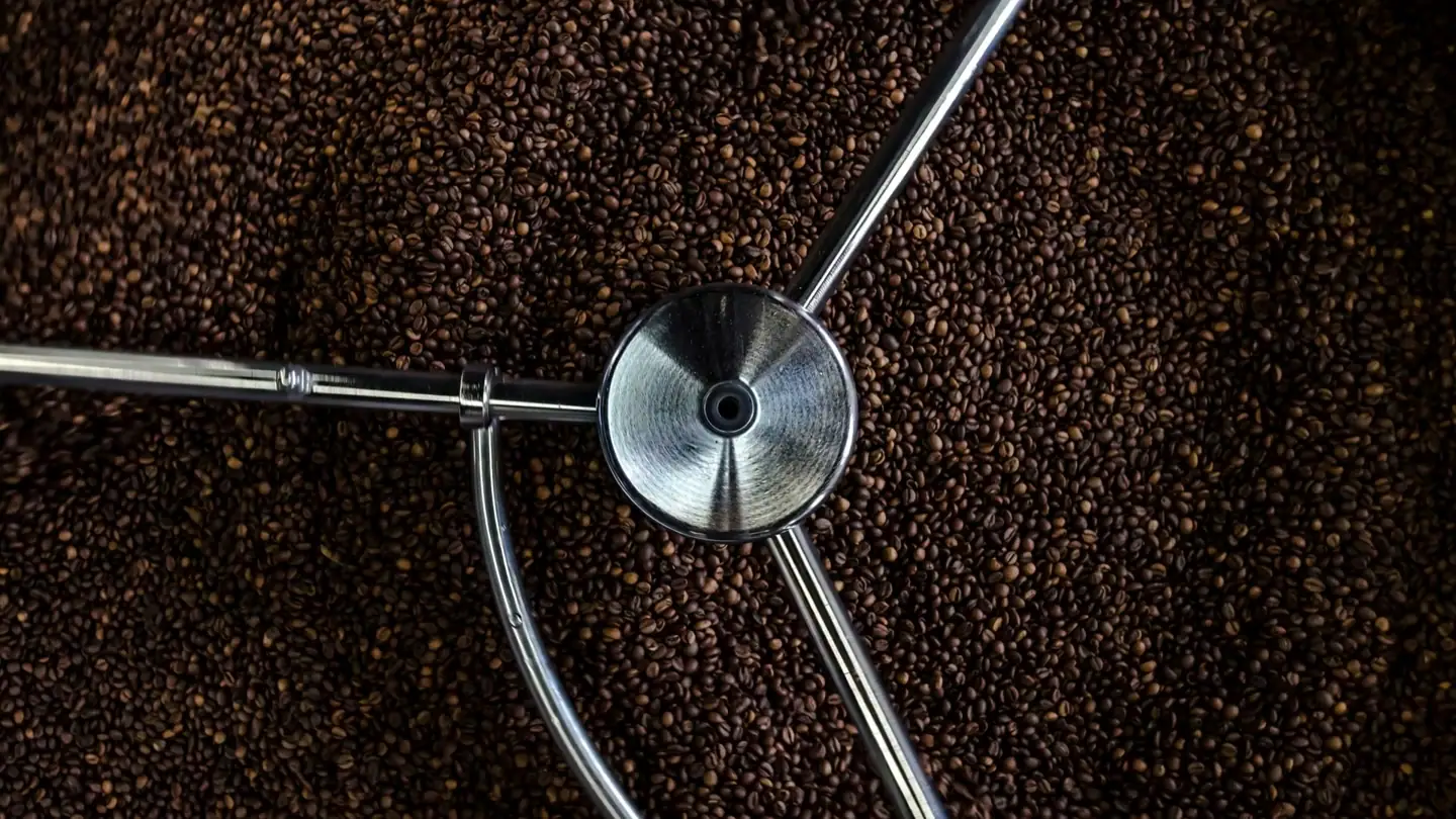 Frisch geröstete Kaffeebohnen drehen sich im Trommelröster